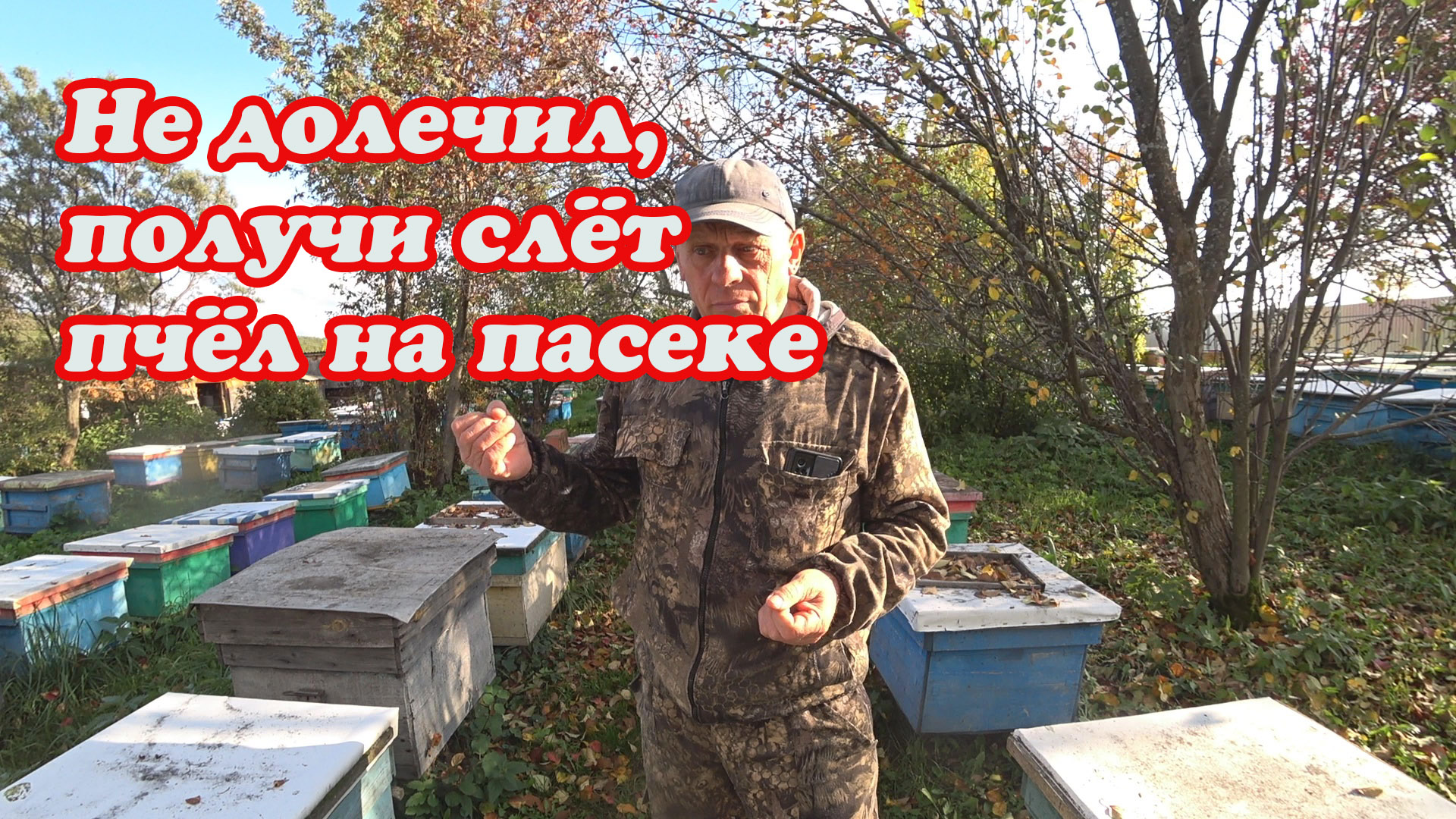 ОТЧЕГО БЫВАЮТ СЛЁТЫ ПЧЁЛ, ЛЕЧЕНИЕ ПЧЁЛ РАЗЛИЧНЫМИ ПРЕПАРАТАМИ, РЕЗУЛЬТАТ ВТОРОЙ ОБРАБОТКИ смотреть онлайн