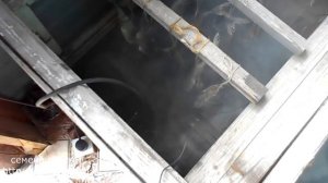 Холодное копчение скумбри