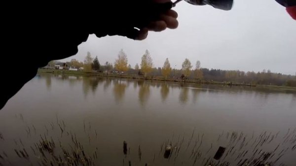 Рыбаловный клуб FISHka   ловля форели на резину Trout Zone Plamp