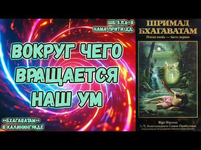 Вокруг чего вращается наш ум. Нама Прити дд. ШБ.5.11.6–8