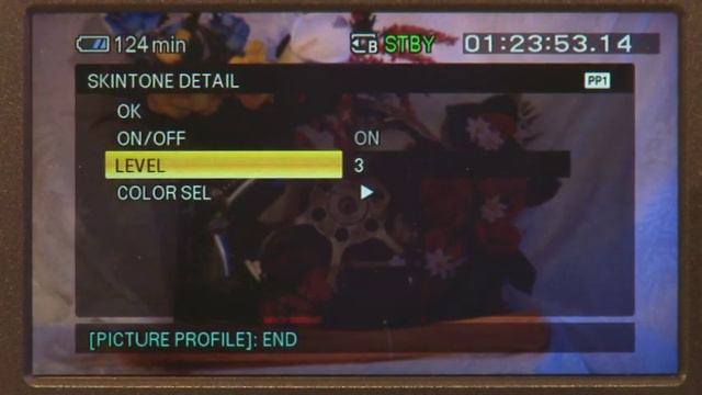 Sony HXR-NX5U NXCAM- CD - 3 смотреть онлайн