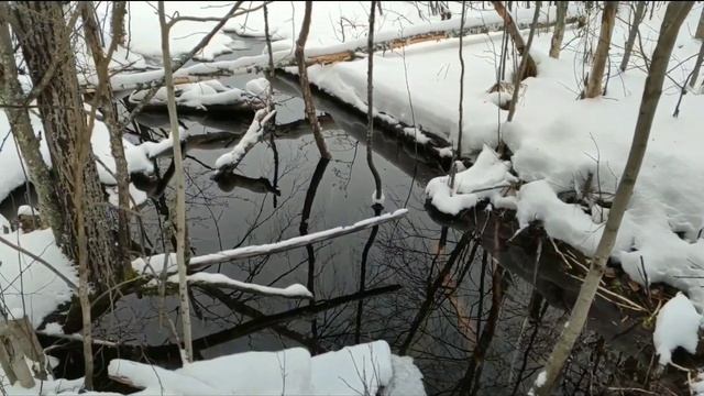 Поймали огромную щуку!Озера Архангельской области. смотреть онлайн