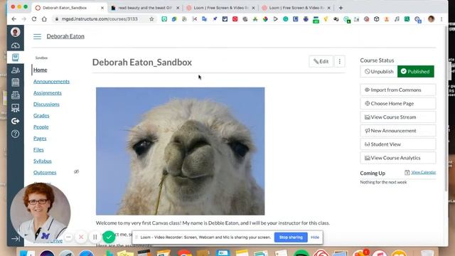 How to insert a GIF into a page in Canvas смотреть онлайн