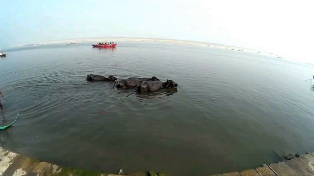 Моя Индия/India of mine смотреть онлайн