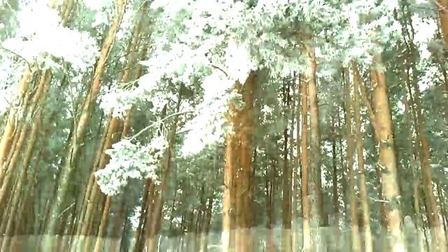 Снежная сказка для бегущего смотреть онлайн