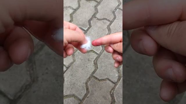 Домашний стол для всех 