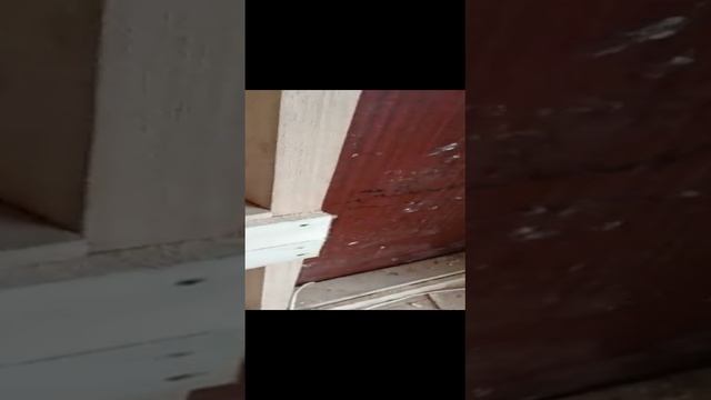 Загородная жизнь.