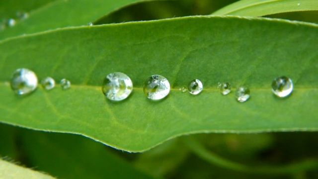 никон л810 смотреть онлайн