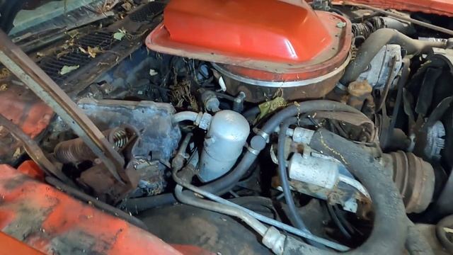 1979 Trans Am Is It Worth Saving???
