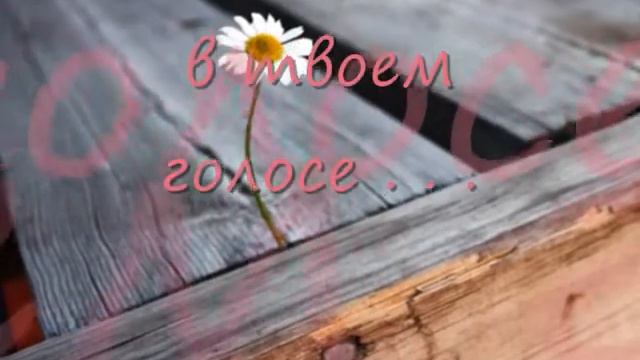 My Friend.wmv смотреть онлайн