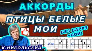 ПТИЦЫ БЕЛЫЕ МОИ Аккорды ? КОНСТАНТИН НИКОЛЬСКИЙ ♪ Разбор песни на гитаре БЕЗ БАРРЭ ♫ Для начинающих