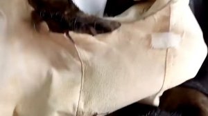 Как отремонтировать подмышки у норковой шубы. До и после.