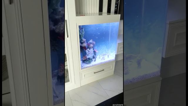Аквариум из оргстекла смотреть онлайн