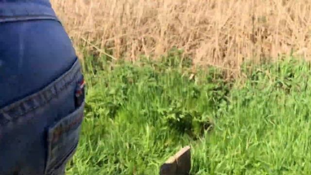 Коп У Серго В огороде ,чешуя 1553 года ШОК ?!!!
#коп смотреть онлайн