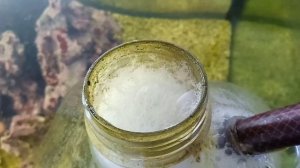 Самодельный пенник для морского аквариума за 3 минуты и 2 копейки