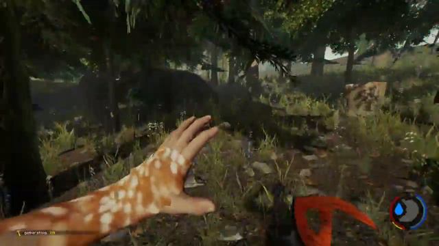 the forest yamyamlar konteynırda bölüm 4 смотреть онлайн