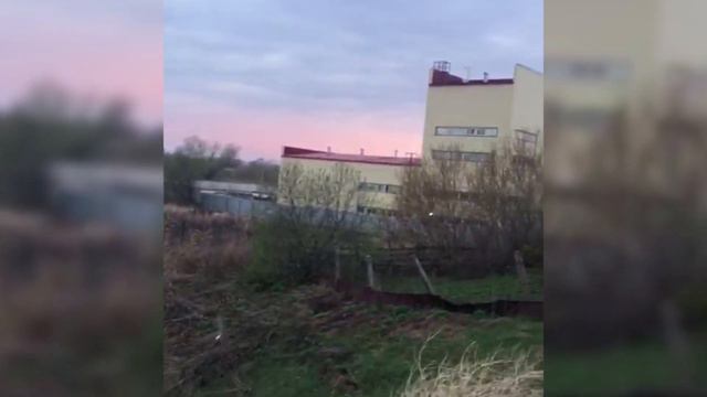 В Яльчиковском районе течет молочная речка смотреть онлайн