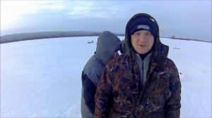 Судак и берш на поставушки.