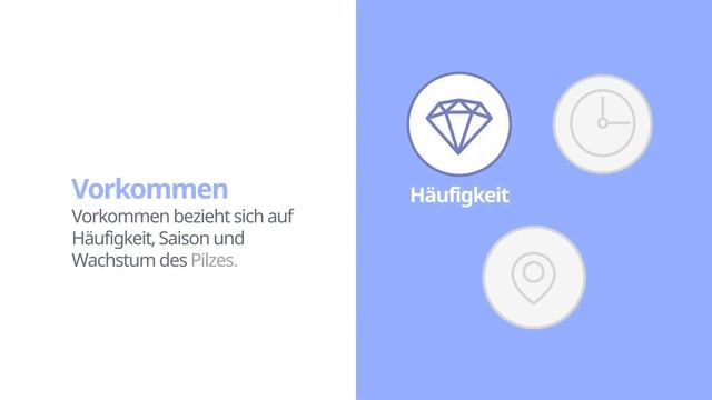 Echter Pfifferling (Cantharellus cibarius) | Vorkommen | Praktisches Kurzprofil | Shroomers смотреть онлайн