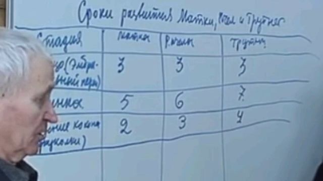 Стадии развития пчелы, матки и трутня от яйца до рождения. Сроки и особенности. В.Г. Кашковский смотреть онлайн