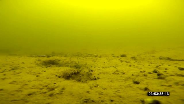 Рыбалка на Карпа Ноябрь Подводное Съёмка смотреть онлайн