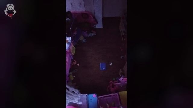 Best Scary Videos Of 2023 [Mega Scary Comp. V2]