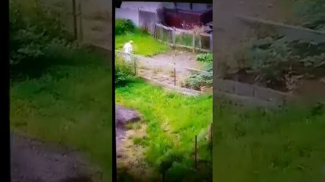МУЖИК СНИМАЕТ ЖЕНЩИНУ НА СВОЙ ТЕЛЕФОН. смотреть онлайн