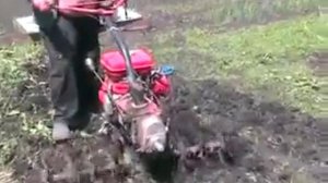 фрезеровка земли мотоблоком мд3 для помидор, перца, капусты