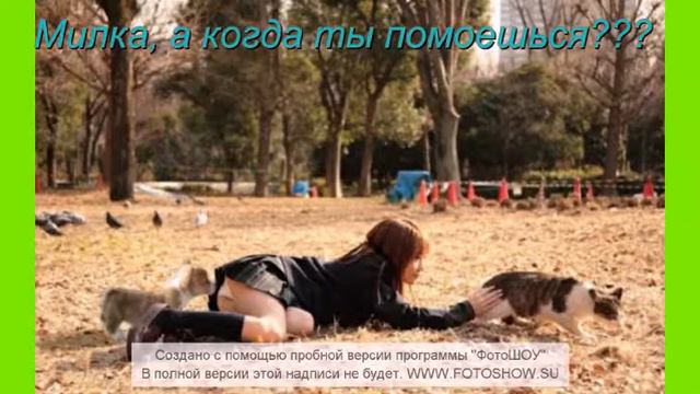 ГУЛЯНКА смотреть онлайн