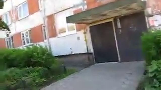 Газон.Цветы.Пейзаж. смотреть онлайн