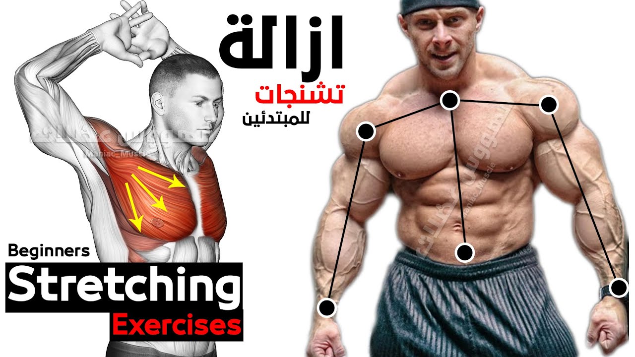 Упражнения на растяжку для начинающих | Мобильность и гибкость смотреть онлайн