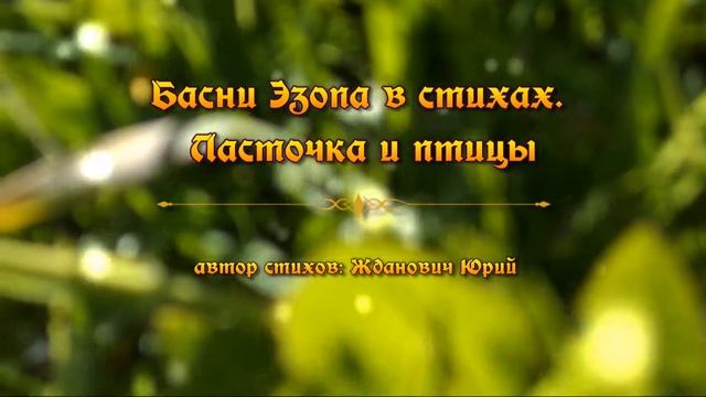 Басни Эзопа в стихах. Ласточка и птицы смотреть онлайн