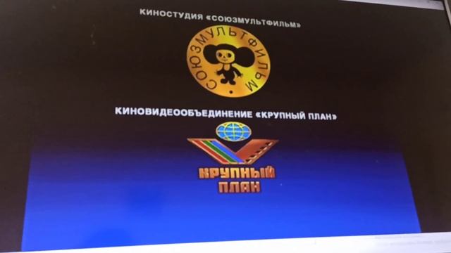 Открытие DVD-диска Ковбои в городе смотреть онлайн