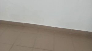 школа 🏫 номер 25 внутри