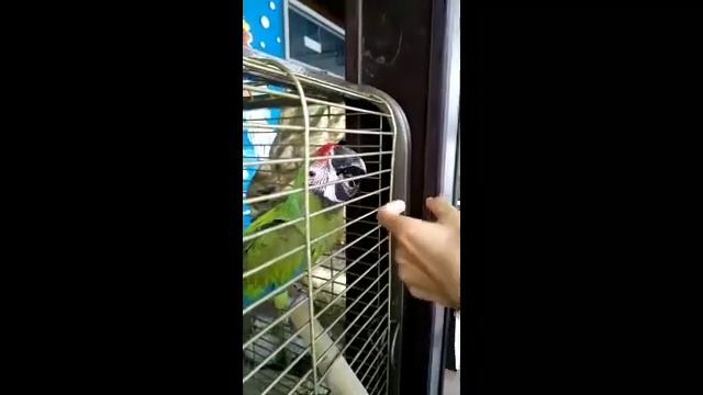 Приехали в Анапу смотреть онлайн