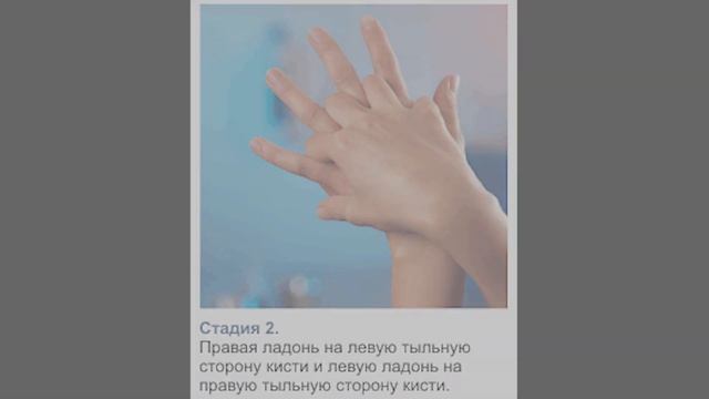 Гигиеническая обработка рук. смотреть онлайн
