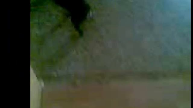 той терьер и тапочек смотреть онлайн