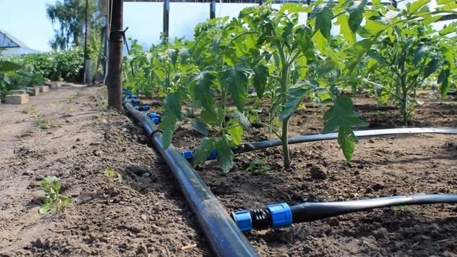 Капельный Полив Купить В Интернет Магазине смотреть онлайн