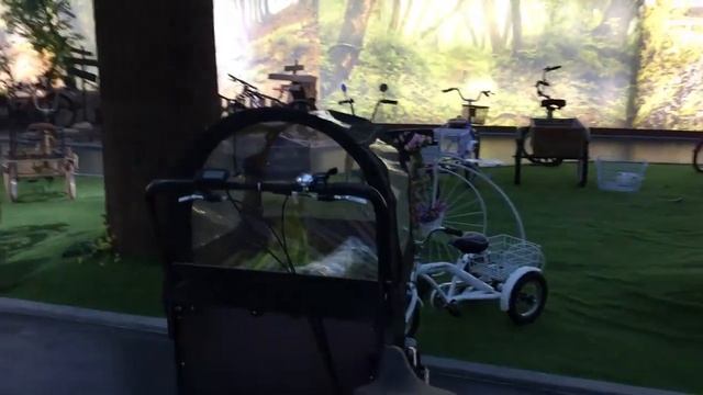 Грузовой трехколесный велосипед - Электрический трехколесный грузовой велосипед для взрослых. смотреть онлайн