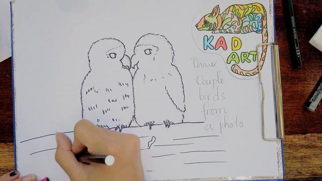 DRAWING COUPLE BIRDS FROM A PHOTO - HOW TO DRAW BIRDS смотреть онлайн
