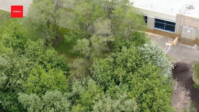 Уровень воды в Енисее поднялся еще на 20 сантиметров смотреть онлайн