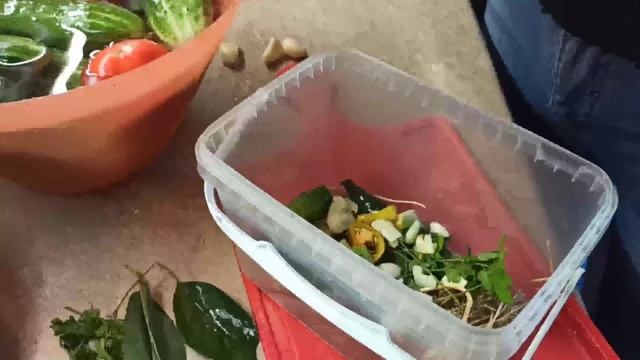 Хозяйство в порядке