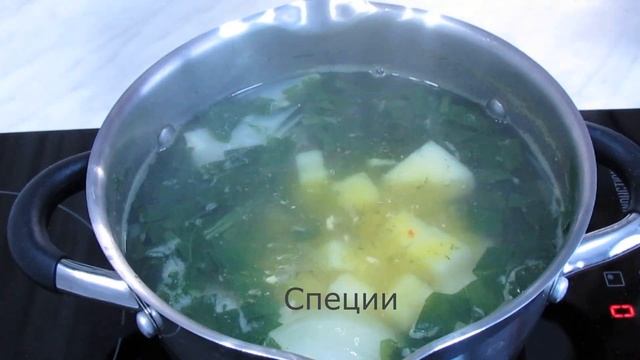 Крем-суп из шпината и сливочного сыра. Как приготовить сырный суп со шпинатом? смотреть онлайн