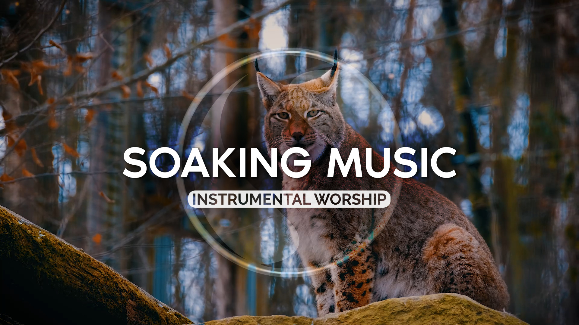 В ЕГО ПРИСУТСТВИИ • МУЗЫКА БЕЗ СЛОВ • ПРОПИТКА • 092 смотреть онлайн