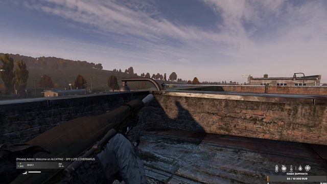 СТРИМ - Предвайповые потасовки 3? | Dayz 1.23