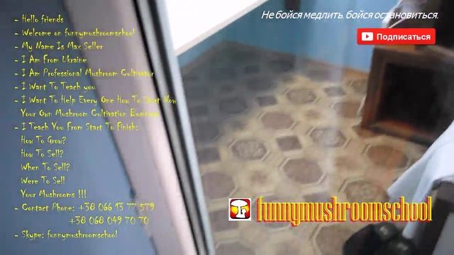 ГЛАВБОКС в лаборатории для ПОСЕВА МИЦЕЛИЯ смотреть онлайн