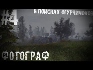 В Поисках Огурчиков S.T.A.L.K.E.R Фотограф #4
