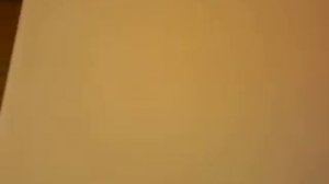 Indesit WT 100 - wasching