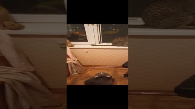 Музыкальная погода [гром] смотреть онлайн