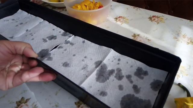 # Время сажать? болгарский перец.mp4 смотреть онлайн